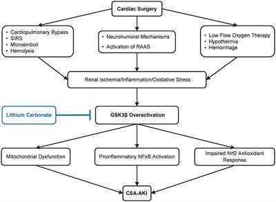 Rationale and Design of Assessing the Effectiveness of Short-Term Low-Dose Lithium Therapy in Averting Cardiac Surgery-Associated Acute Kidney Injury: A Randomized, Double Blinded, Placebo Controlled Pilot Trial